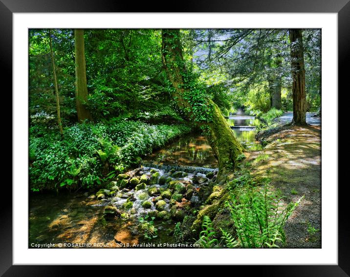 "Dappled sunshine at the stream" Framed Mounted Print by ROS RIDLEY