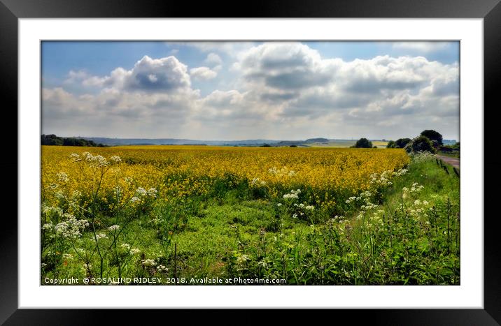 "Springtime in the English fields" Framed Mounted Print by ROS RIDLEY