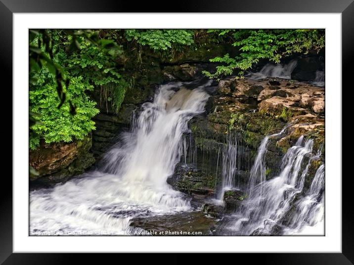 "Aysgarth Falls" Framed Mounted Print by ROS RIDLEY