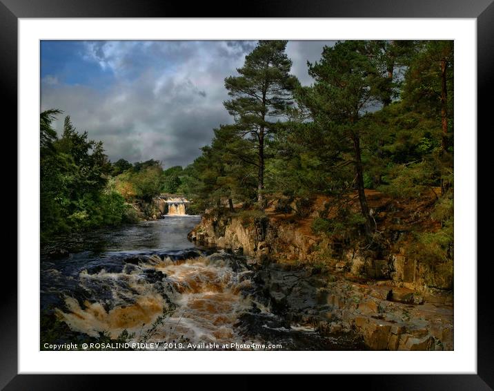 "Dramatic light at Low Force waterfalls" Framed Mounted Print by ROS RIDLEY