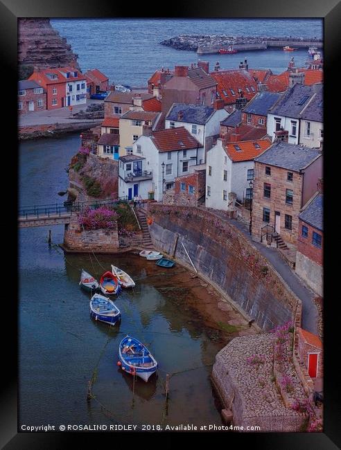 "Evening Light on Staithes Harbour" Framed Print by ROS RIDLEY