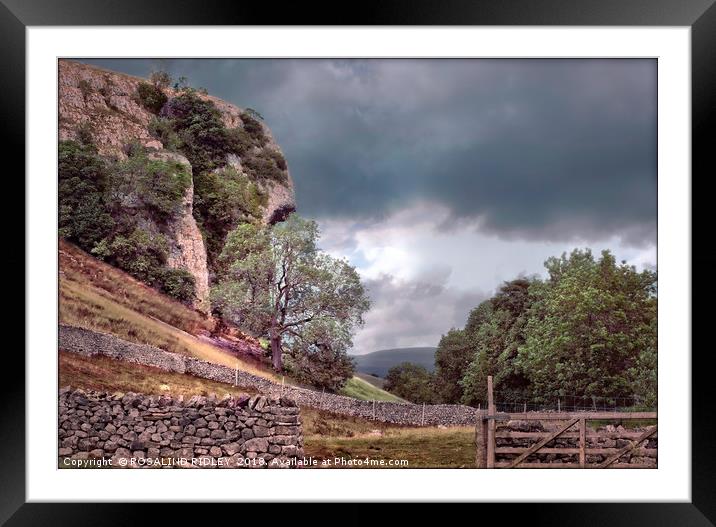 "Kilnsey Crag" Framed Mounted Print by ROS RIDLEY
