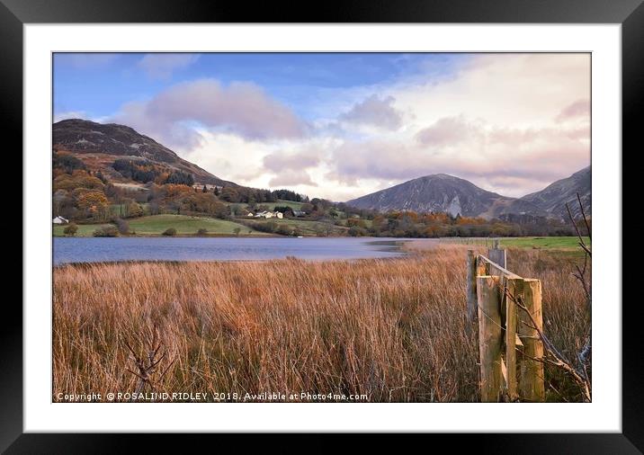 "Loweswater towards Darling Fell" Framed Mounted Print by ROS RIDLEY