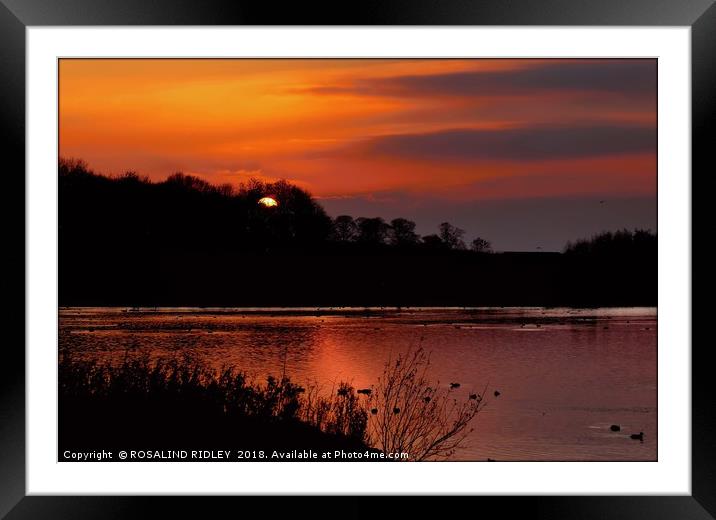"Sun going down at the lake" Framed Mounted Print by ROS RIDLEY