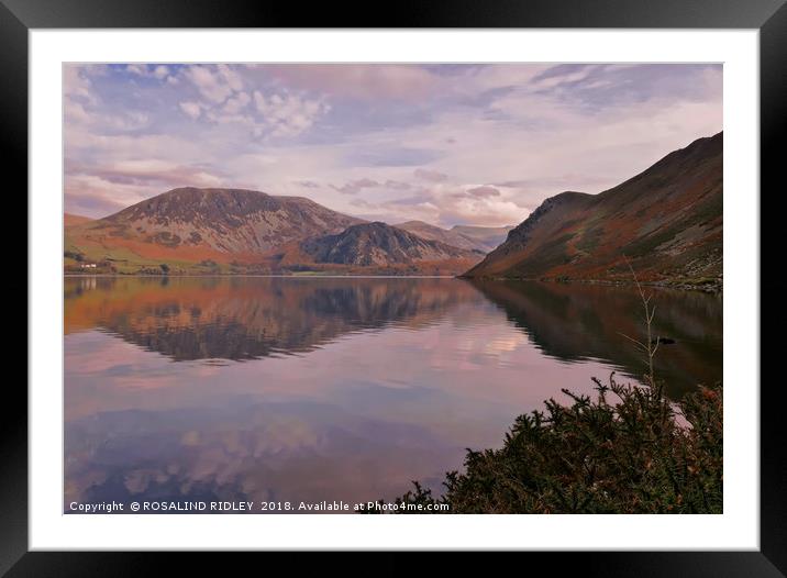 "Light and shade reflections at the lake" Framed Mounted Print by ROS RIDLEY