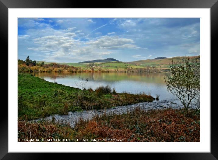 "Sunny day at Ennerdale water" Framed Mounted Print by ROS RIDLEY