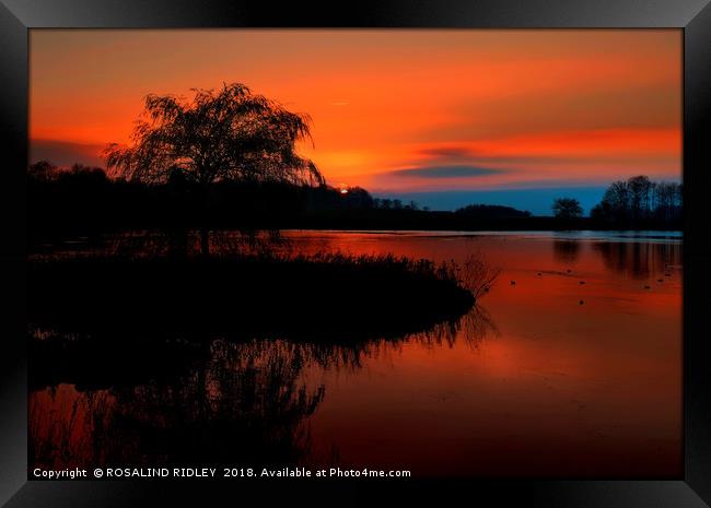 "Fiery sunset at the lake" Framed Print by ROS RIDLEY