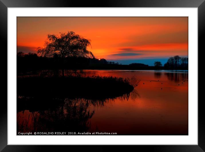 "Fiery sunset at the lake" Framed Mounted Print by ROS RIDLEY