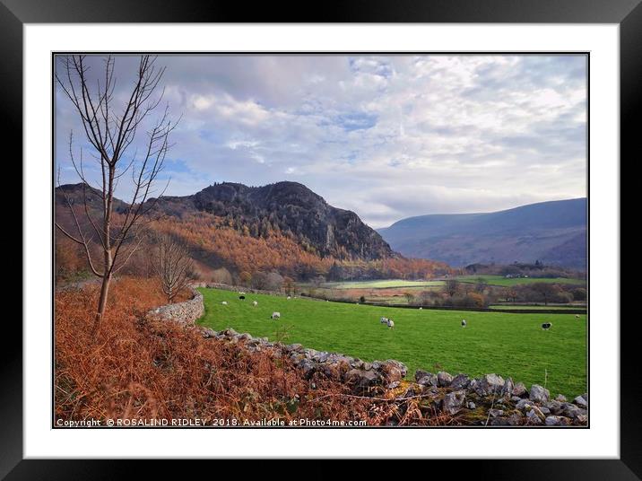 "Ennerdale Valley" Framed Mounted Print by ROS RIDLEY