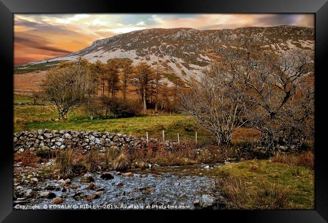 "Autumn at Ennerdale" Framed Print by ROS RIDLEY
