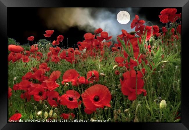 "Moonlit  Poppies" Framed Print by ROS RIDLEY