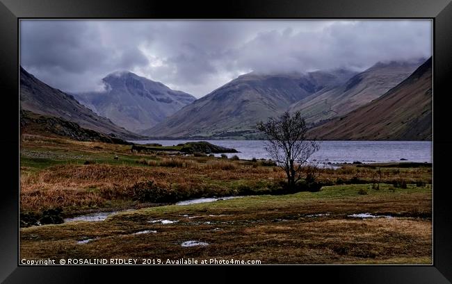 "March storms at Wastwater" Framed Print by ROS RIDLEY