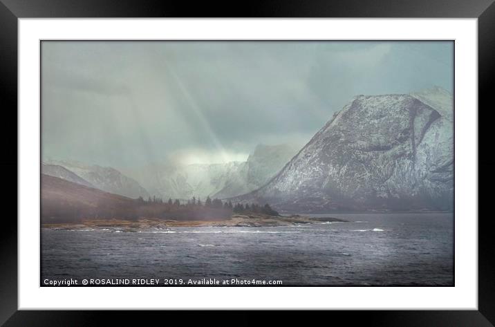 "Arctic Storm" Framed Mounted Print by ROS RIDLEY
