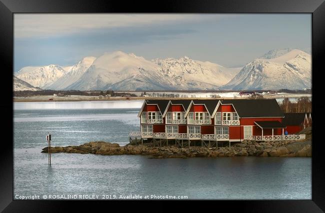 "Blue hour at Stokmarknes NorwaY" Framed Print by ROS RIDLEY
