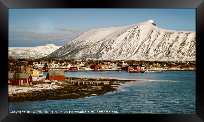 "Risoyhamn Norway" Framed Print by ROS RIDLEY