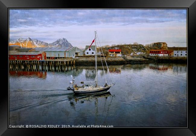 "Expedition boat at Svolvaer Norway" Framed Print by ROS RIDLEY