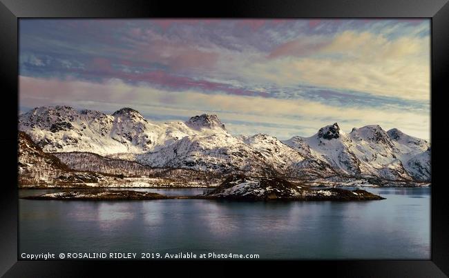 "Evening Light around the Lofoten islands" Framed Print by ROS RIDLEY