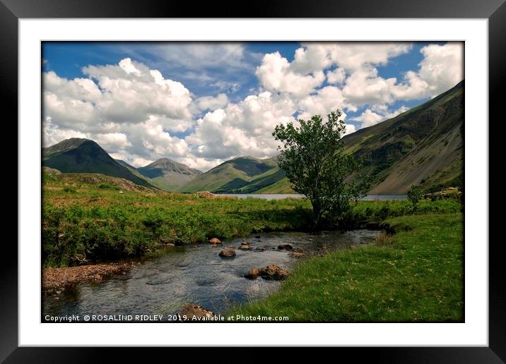 "Tree by the stream Wastwater" Framed Mounted Print by ROS RIDLEY