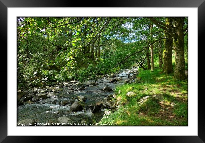 "Dappled sunshine at the stream 2" Framed Mounted Print by ROS RIDLEY