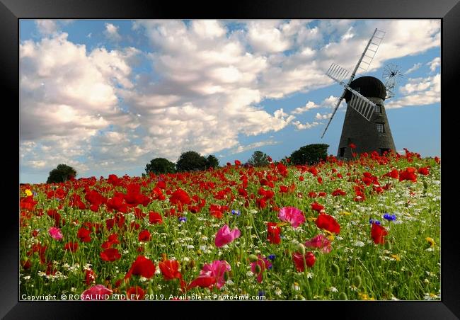 "Old Windmill in the poppy fields" Framed Print by ROS RIDLEY