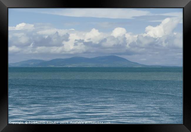 "Peace" Framed Print by ROS RIDLEY