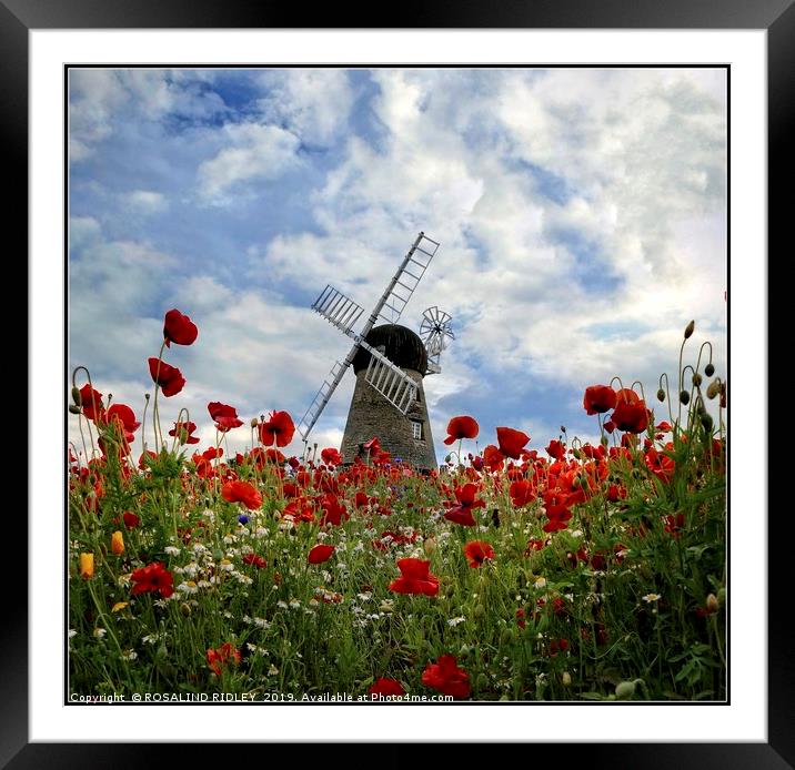 "Windmill in the poppy field" Framed Mounted Print by ROS RIDLEY