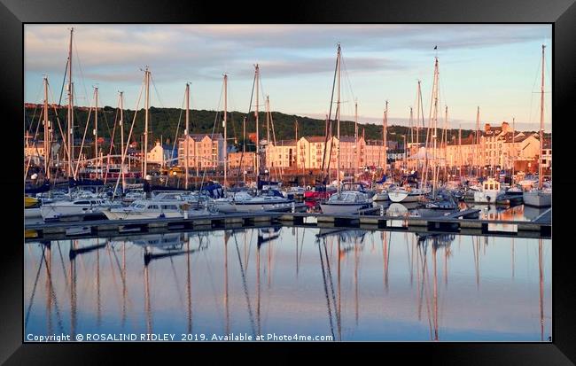 "Evening light reflections at Whitehaven marina" Framed Print by ROS RIDLEY