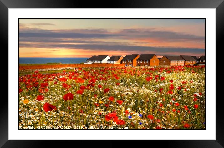 "Sunset over the poppies" Framed Mounted Print by ROS RIDLEY