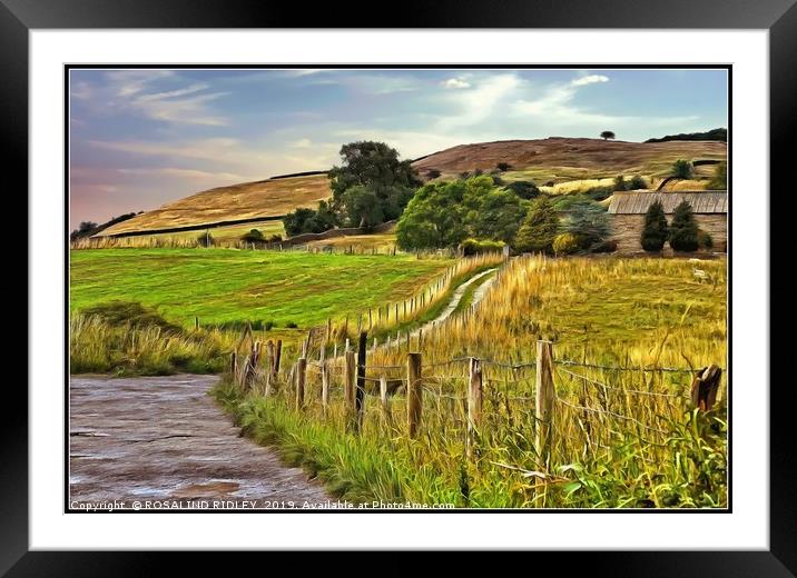 "After the rain" Framed Mounted Print by ROS RIDLEY