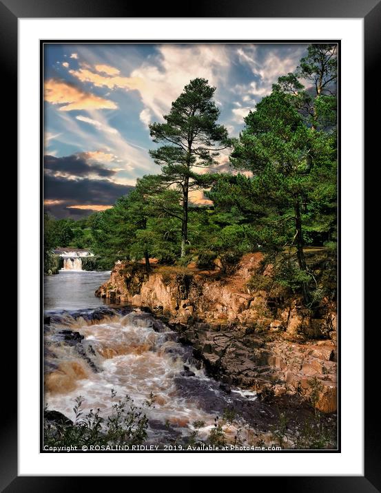 "Low Force waterfall" Framed Mounted Print by ROS RIDLEY