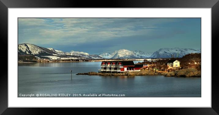 "Blue hour at Stokmarknes Norway" Framed Mounted Print by ROS RIDLEY