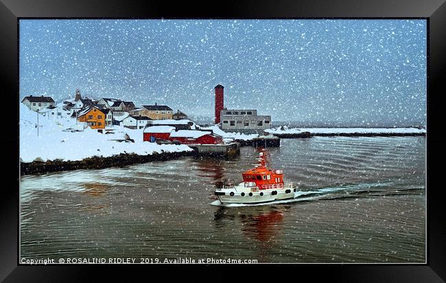 "Rescue in the snow" Framed Print by ROS RIDLEY