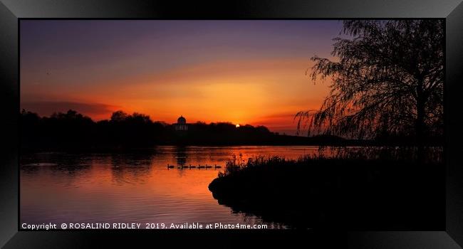 "Sundown across the park lake" Framed Print by ROS RIDLEY