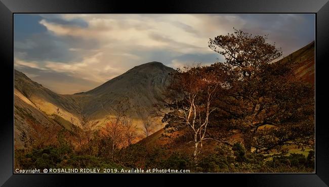 "Autumn trees and Great Gable" Framed Print by ROS RIDLEY