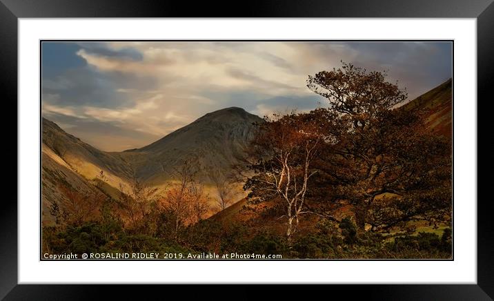 "Autumn trees and Great Gable" Framed Mounted Print by ROS RIDLEY