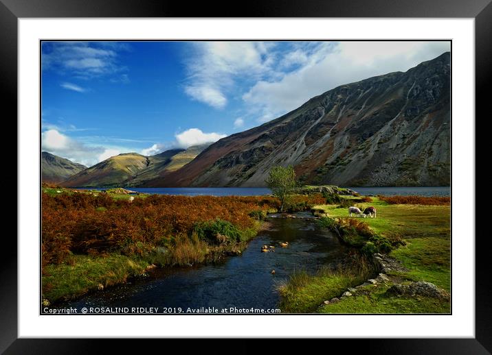 "Autumn evening colours at Wastwater" Framed Mounted Print by ROS RIDLEY