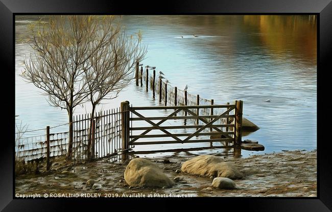 "Reflections at the lake" Framed Print by ROS RIDLEY