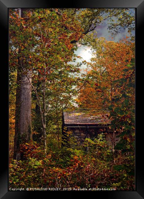 "Little hut in the Autumn wood" Framed Print by ROS RIDLEY