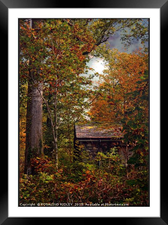 "Little hut in the Autumn wood" Framed Mounted Print by ROS RIDLEY