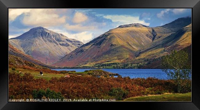"Mountains at Wastwater" Framed Print by ROS RIDLEY