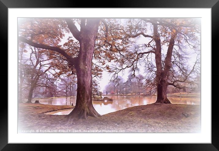 "Trees by a misty Autumn lake " Framed Mounted Print by ROS RIDLEY