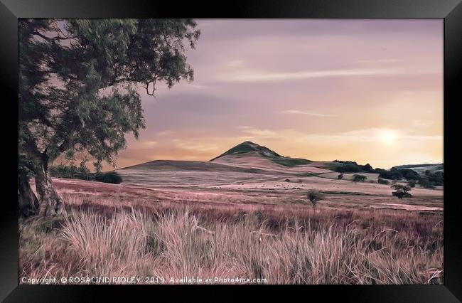 "Evening  light across the moors" Framed Print by ROS RIDLEY