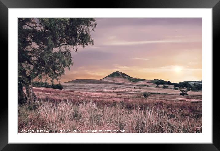 "Evening  light across the moors" Framed Mounted Print by ROS RIDLEY