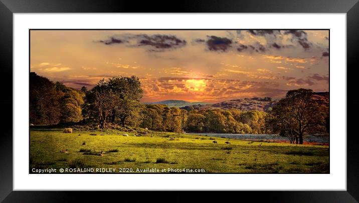 "Evening light near Coniston" Framed Mounted Print by ROS RIDLEY