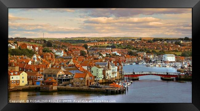 "Looking down on Whitby" Framed Print by ROS RIDLEY