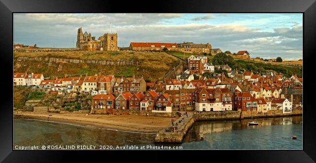 "Whitby Panorama" Framed Print by ROS RIDLEY