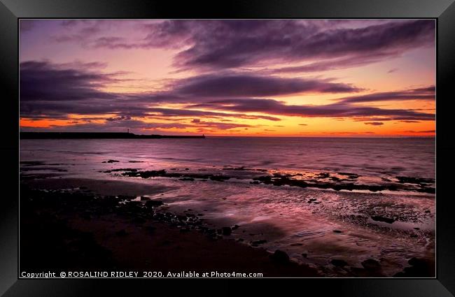 "Golden sunset at Maryport" Framed Print by ROS RIDLEY