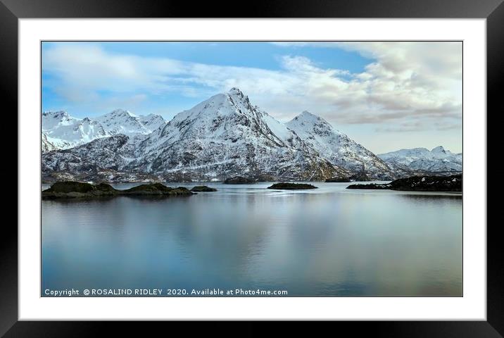 "Cool blue reflections" Framed Mounted Print by ROS RIDLEY