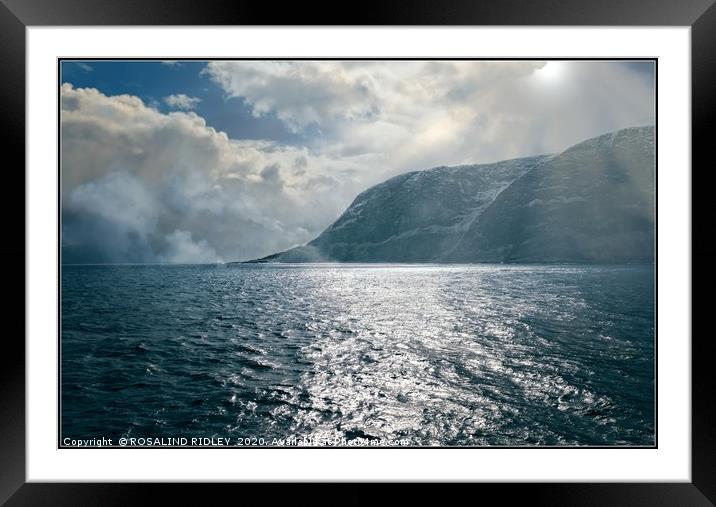 "A light in a storm" Framed Mounted Print by ROS RIDLEY