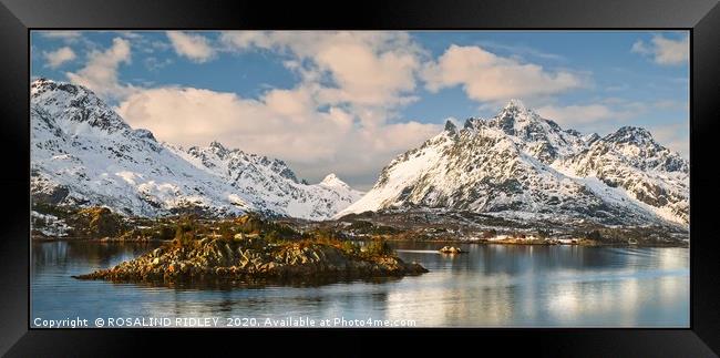 " Sailing around Lofoten Islands " Framed Print by ROS RIDLEY